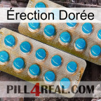 Érection Dorée new08